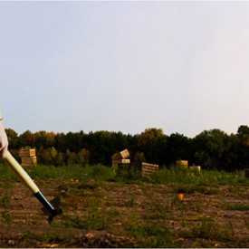 The Harvest