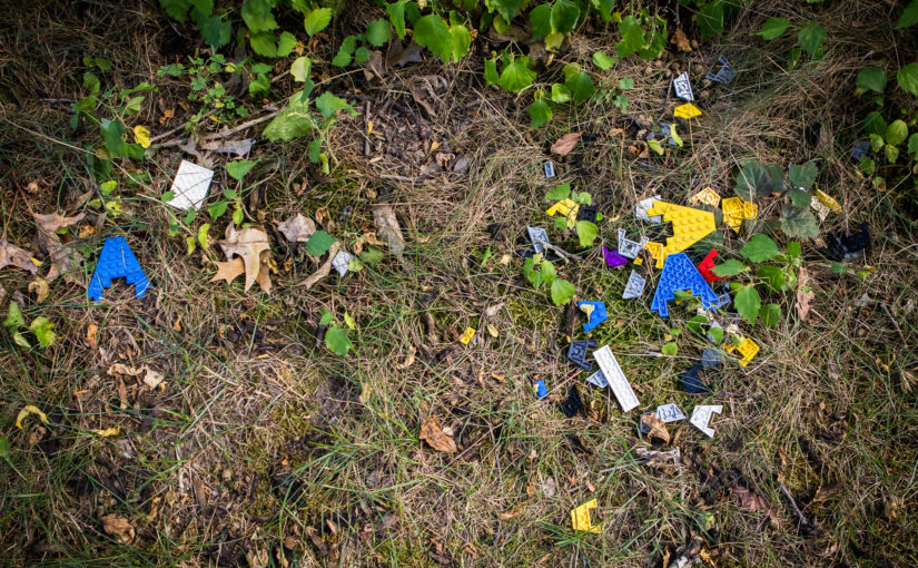 LEGO in grass and bushes